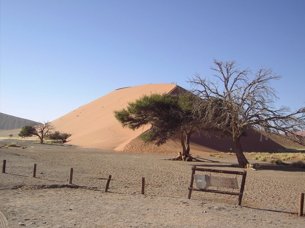 Namibi
