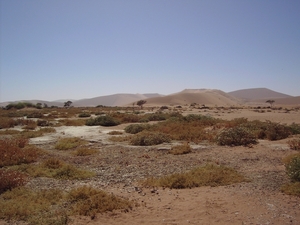 Op stap naar Death Valley