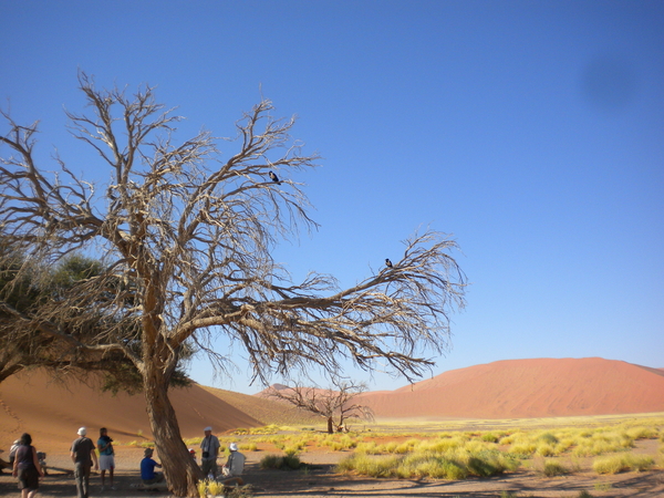 Namibi