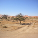 DSCN2572