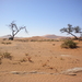 DSCN2573