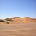 DSCN2576