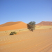 DSCN2577