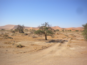 Vanuit de jeep naar deatvlei