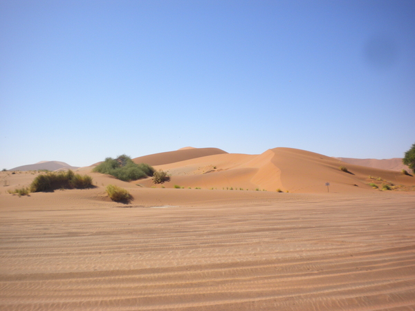 Namibi