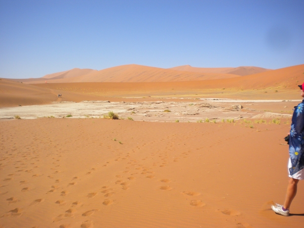 Namibi
