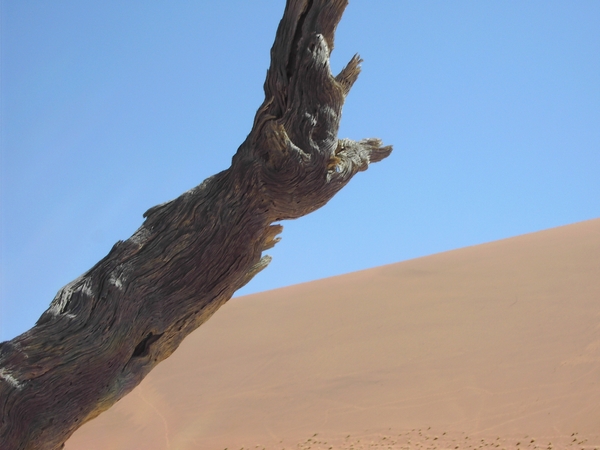 Namibi