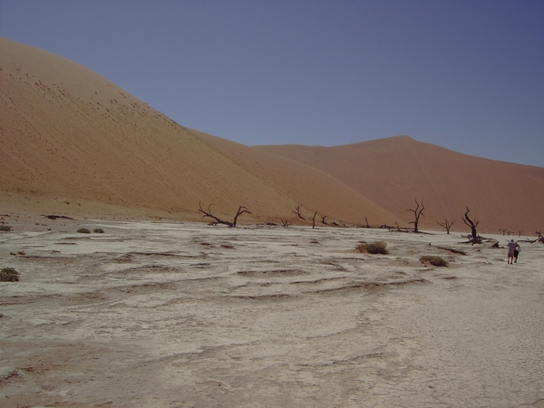 Namibi