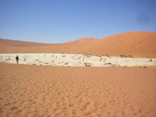 Namibi