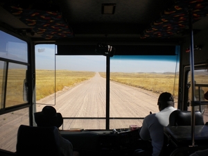 Zicht vanuit de bus