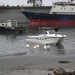 Is dat onze boot?  Ik denk het niet