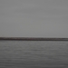 Wat is al dat roze op het eiland?