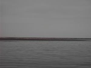 Wat is al dat roze op het eiland?