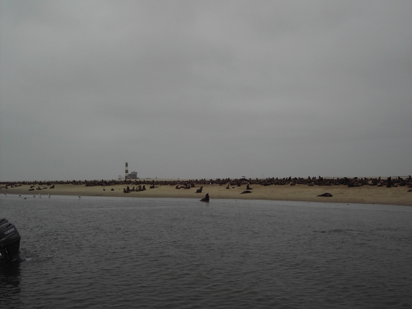 Namibi