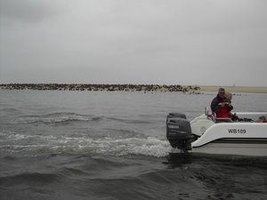 We zijn niet alleen op zee