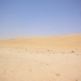 Zandduinen aan zee
