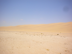 Zandduinen aan zee