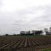 OMGEVING HOOGSTRATEN - MEER