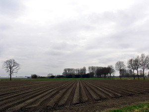 OMGEVING HOOGSTRATEN - MEER