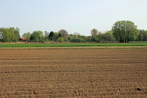 OMGEVING WESTMEERBEEK