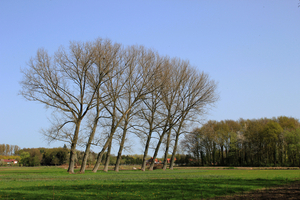 OMGEVING WESTMEERBEEK