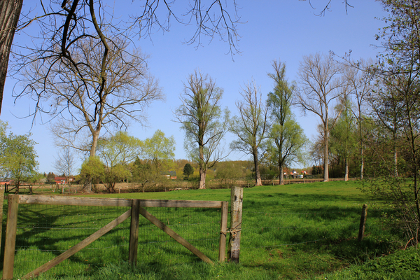 OMGEVING WESTMEERBEEK