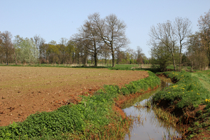 OMGEVING WESTMEERBEEK