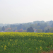 OMGEVING WINKSELE