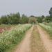 OMGEVING ZANDVLIET - BERENDRECHT