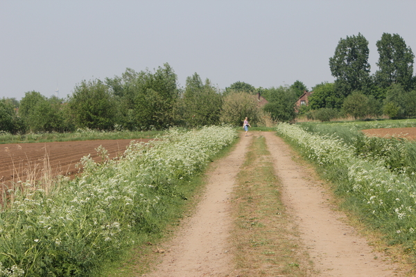 OMGEVING ZANDVLIET - BERENDRECHT