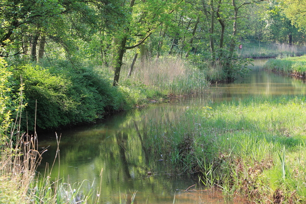 OMGEVING ZANDVLIET - BERENDRECHT