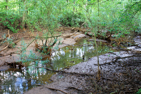 OMGEVING 's GRAVENWEZEL - SCHILDE