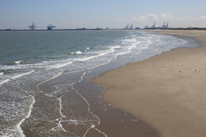 OMGEVING BLANKENBERGE - ZEEBRUGGE