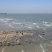 OMGEVING BLANKENBERGE - ZEEBRUGGE