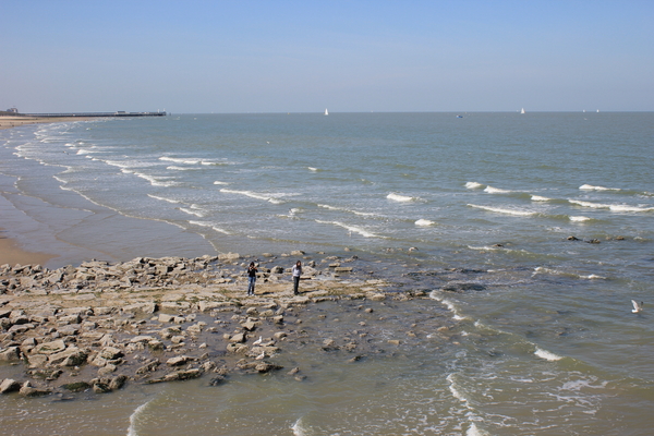 OMGEVING BLANKENBERGE - ZEEBRUGGE