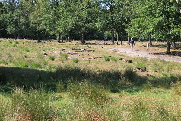 OMGEVING OSSENDRECHT - NEDERLAND