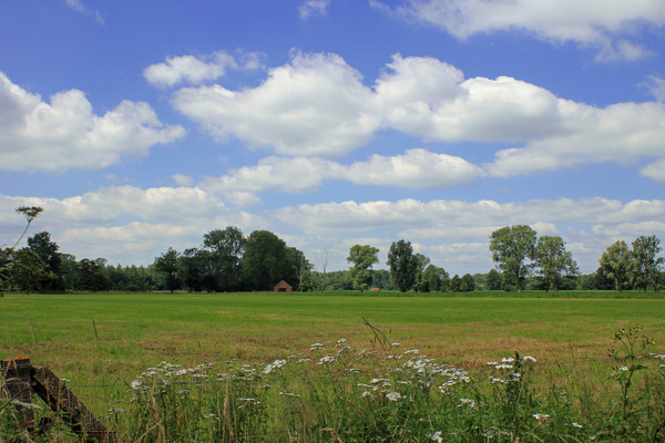 OMGEVING MEERHOUT