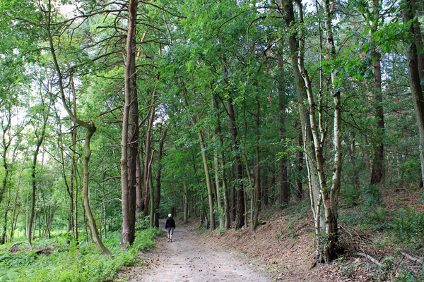 OMGEVING MEERHOUT