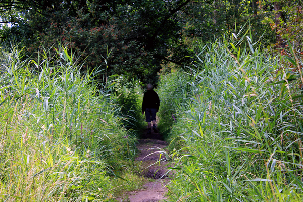 OMGEVING MEERHOUT