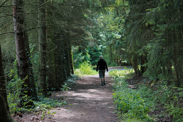 OMGEVING MEERHOUT