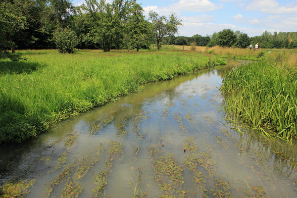 OMGEVING MEERHOUT