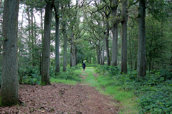 OMGEVING WORTEL - HOOGSTRATEN