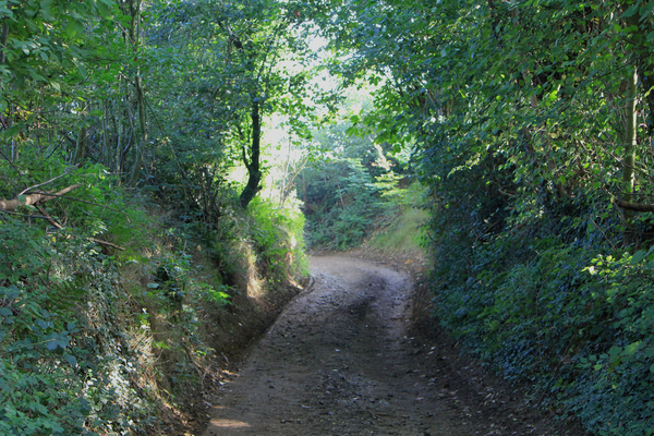 OMGEVING HALEN - LOKSBERGEN