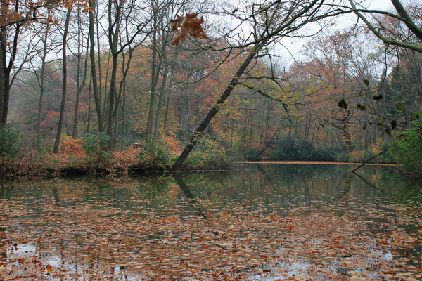 OMGEVING GROBBENDONK - BOUWEL