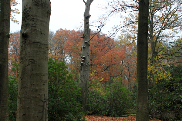 OMGEVING GROBBENDONK - BOUWEL