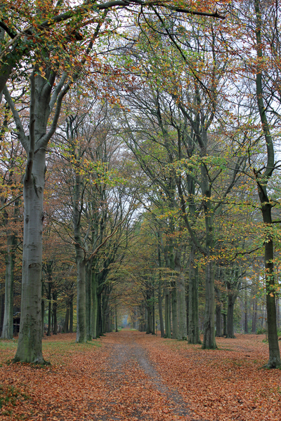 OMGEVING GROBBENDONK - BOUWEL