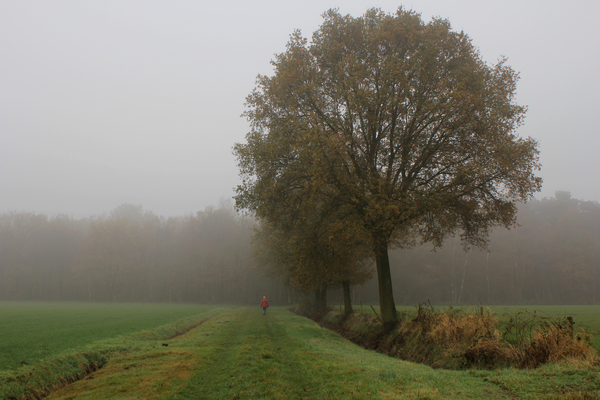 OMGEVING TURNHOUT - ZEVENDONK