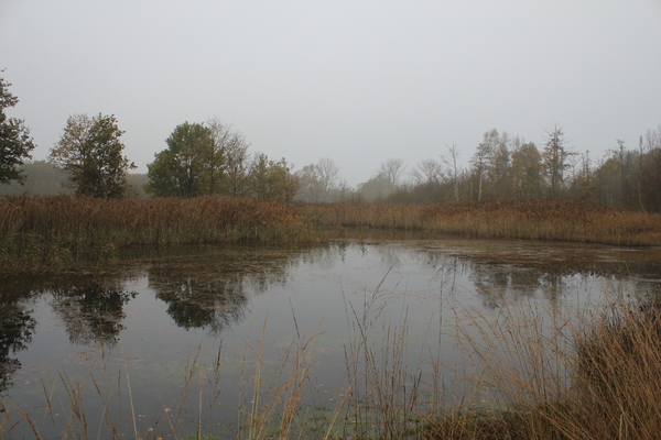 OMGEVING TURNHOUT - ZEVENDONK