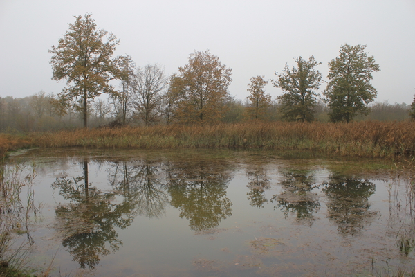 OMGEVING TURNHOUT - ZEVENDONK