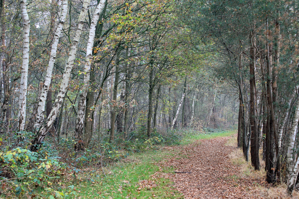 OMGEVING TURNHOUT - ZEVENDONK